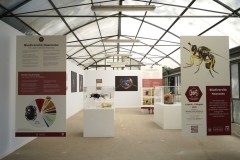 biodiversita1-@vittoria-di-patre
