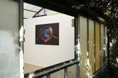 biodiversita15-@vittoria-di-patre