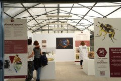 biodiversita2-@vittoria-di-patre