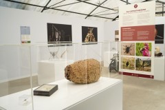 biodiversita23-@vittoria-di-patre