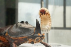 biodiversita35-@vittoria-di-patre